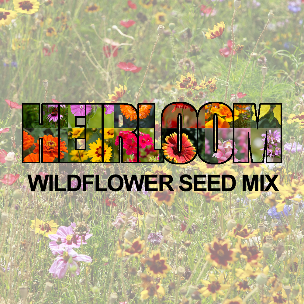 Heirloom Flower Seed Mix (1.5-2.5 Sq Ft)