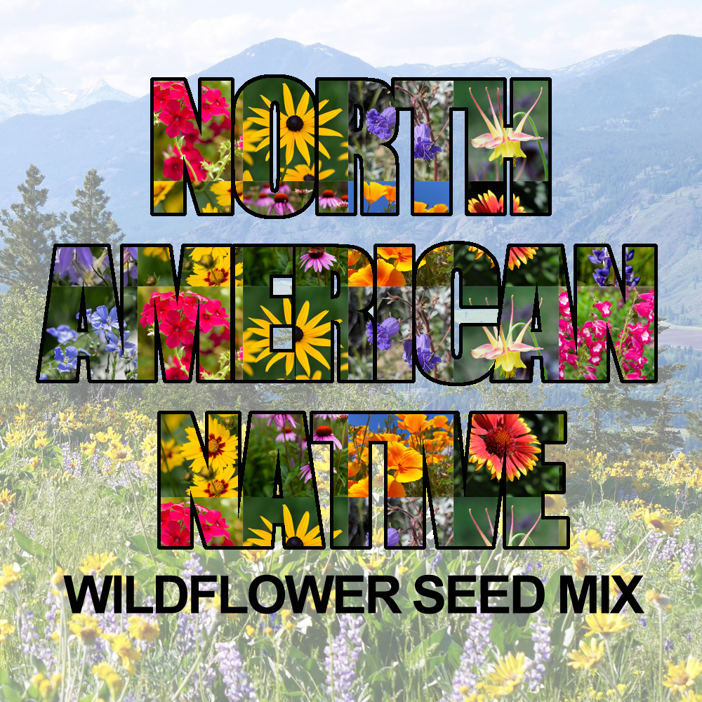 Native Wildflower Seed Mix (1.5-2.5 Sq Ft)