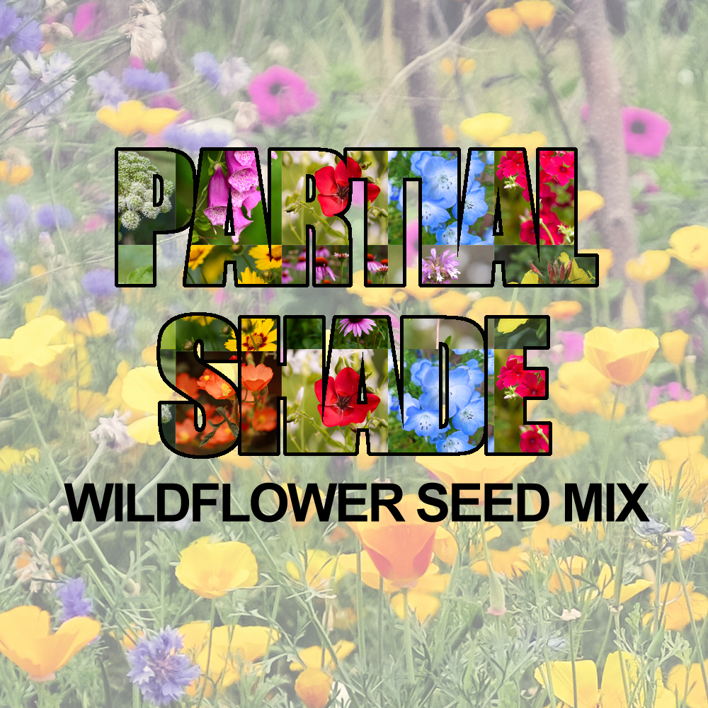 Partial Shade Wildflower Seed Mix (1.5-2.5 Sq Ft)