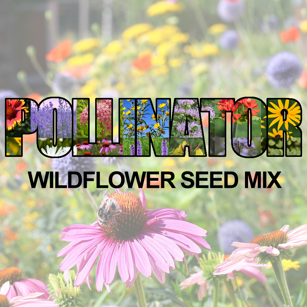 Pollinator Wildflower Seed Mix (1.5-2.5 Sq Ft)