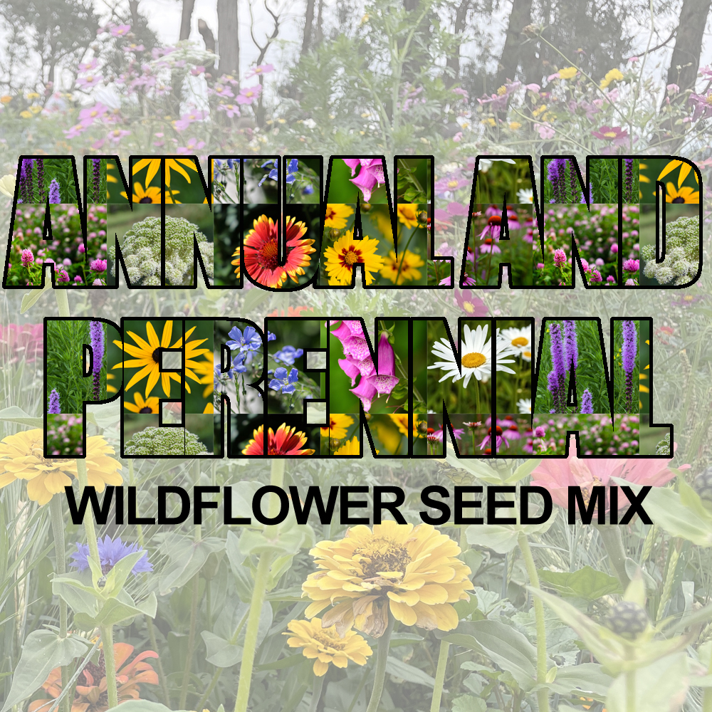 Wildflower – Annual & Perennial (1.5-2.5 Sq Ft)