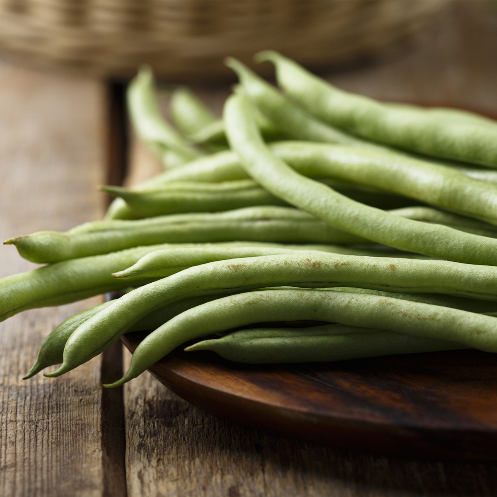Bean - Bush - Blue Lake 274 (8-10 Seeds)