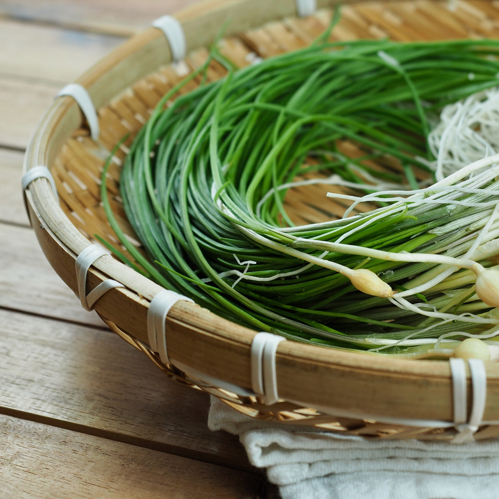 Chives - Garlic
