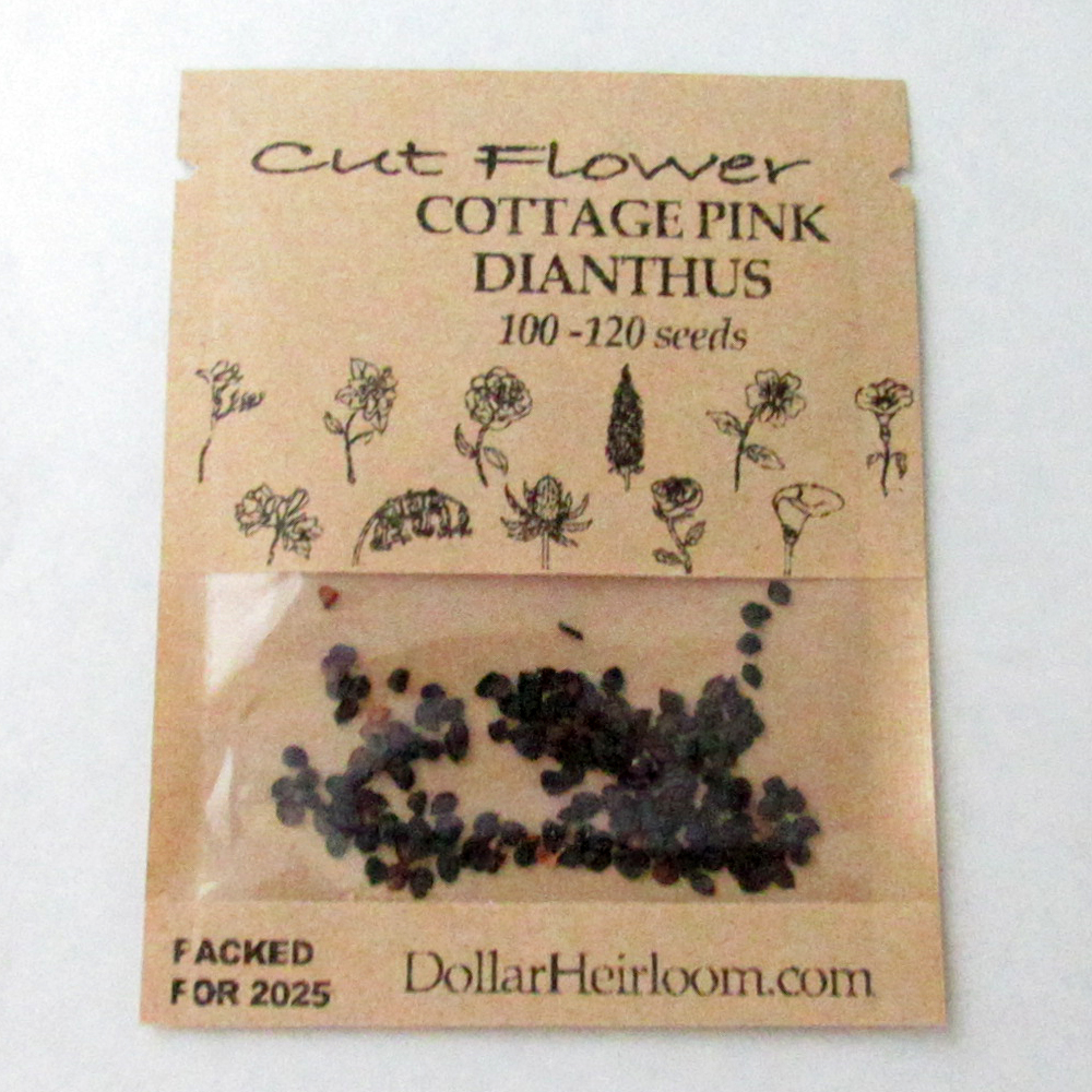 Dianthus - Cottage Pink (100-120 Seeds)