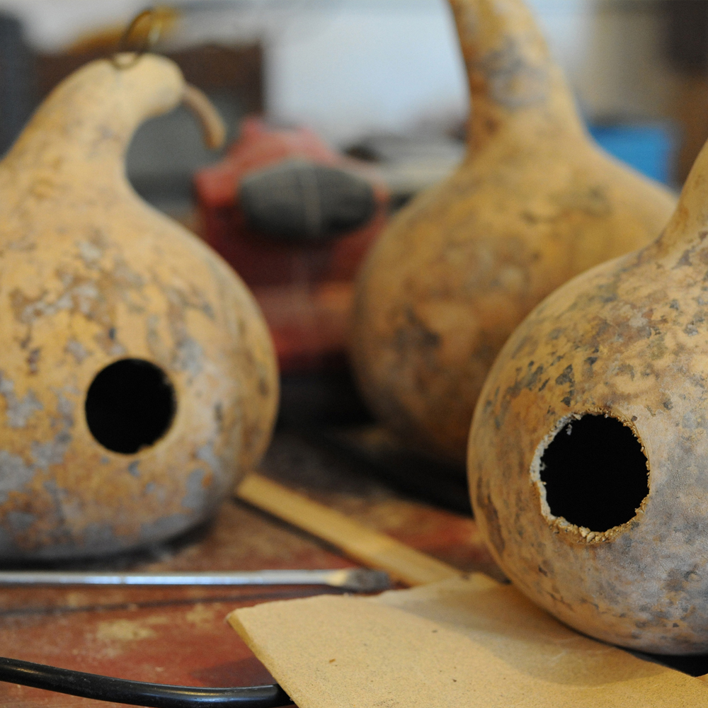 Gourd - Birdhouse (4 Seeds)