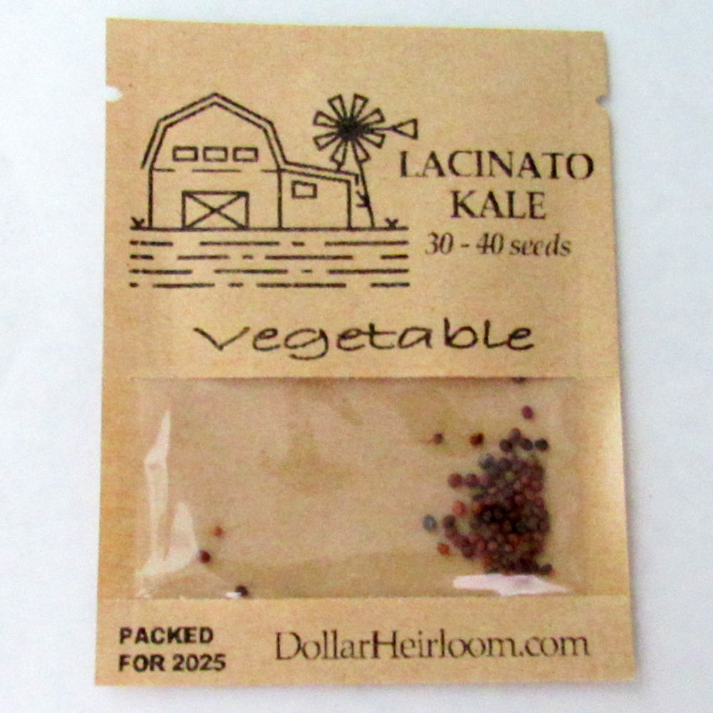 Kale – Lacinato (30-40 Seeds)
