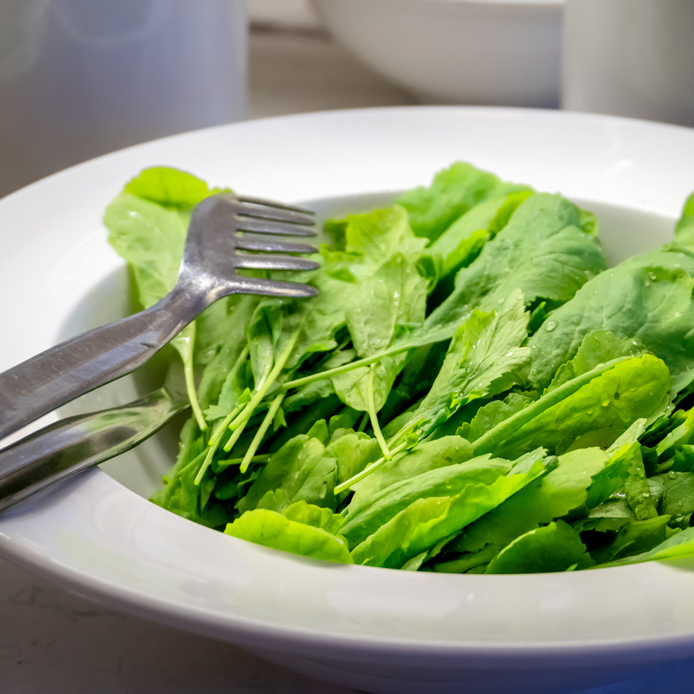 Sorrel - Large Leaf (120-150 Seeds)