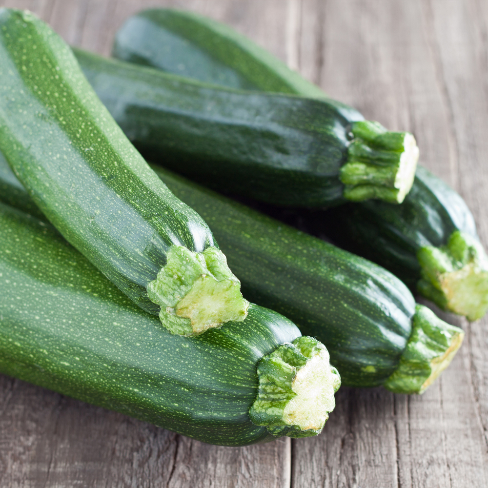 Squash - Fordhook Zucchini Summer (6-8 Seeds)