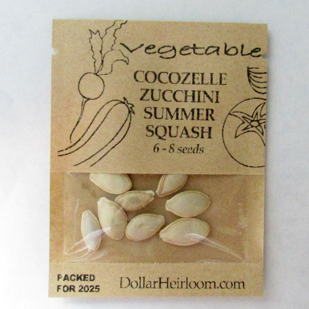 Squash – Cocozelle Zucchini Summer (6-8 Seeds)