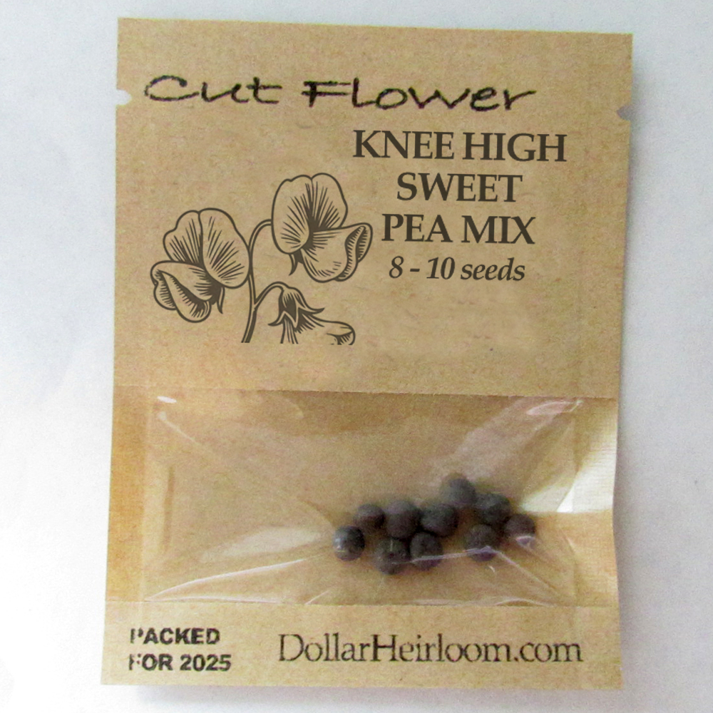 Sweet Pea - Knee High Mix (8-10 Seeds)