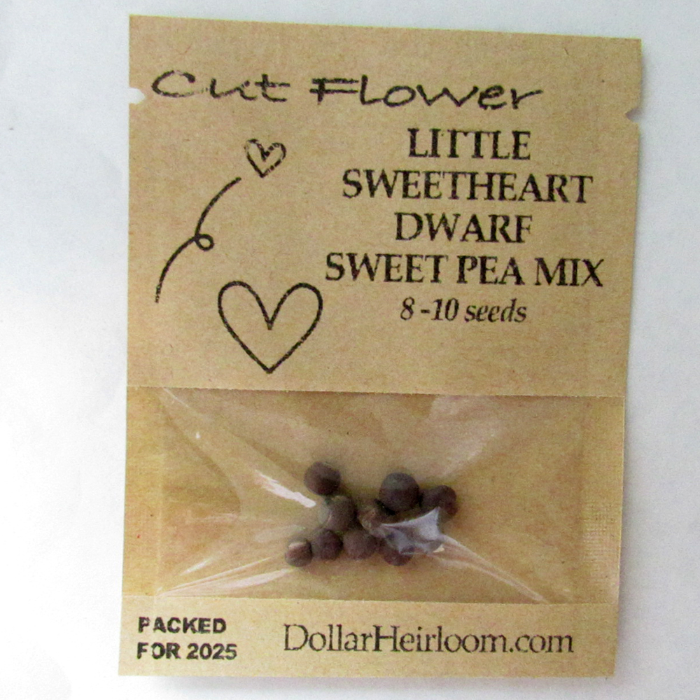Sweet Pea – Little Sweetheart Dwarf Mix (8-10 Seeds)