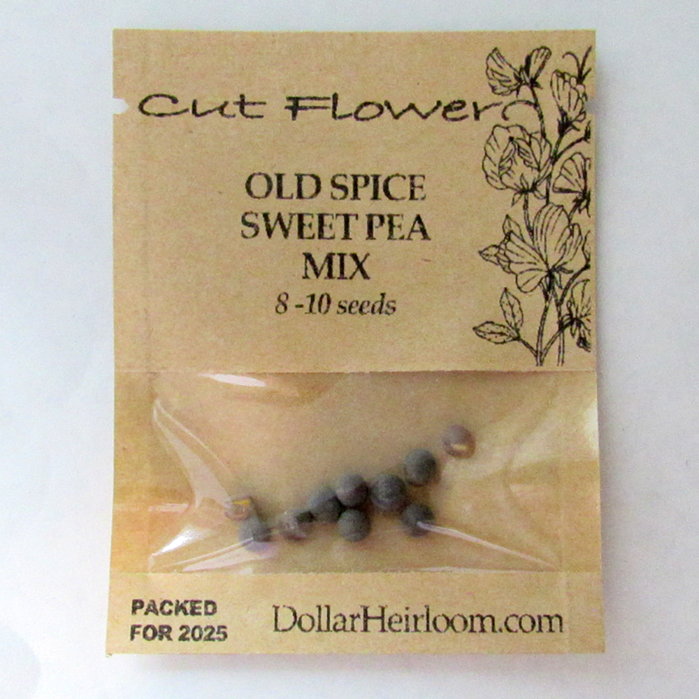 Sweet Pea - Old Spice Mix (8-10 Seeds)