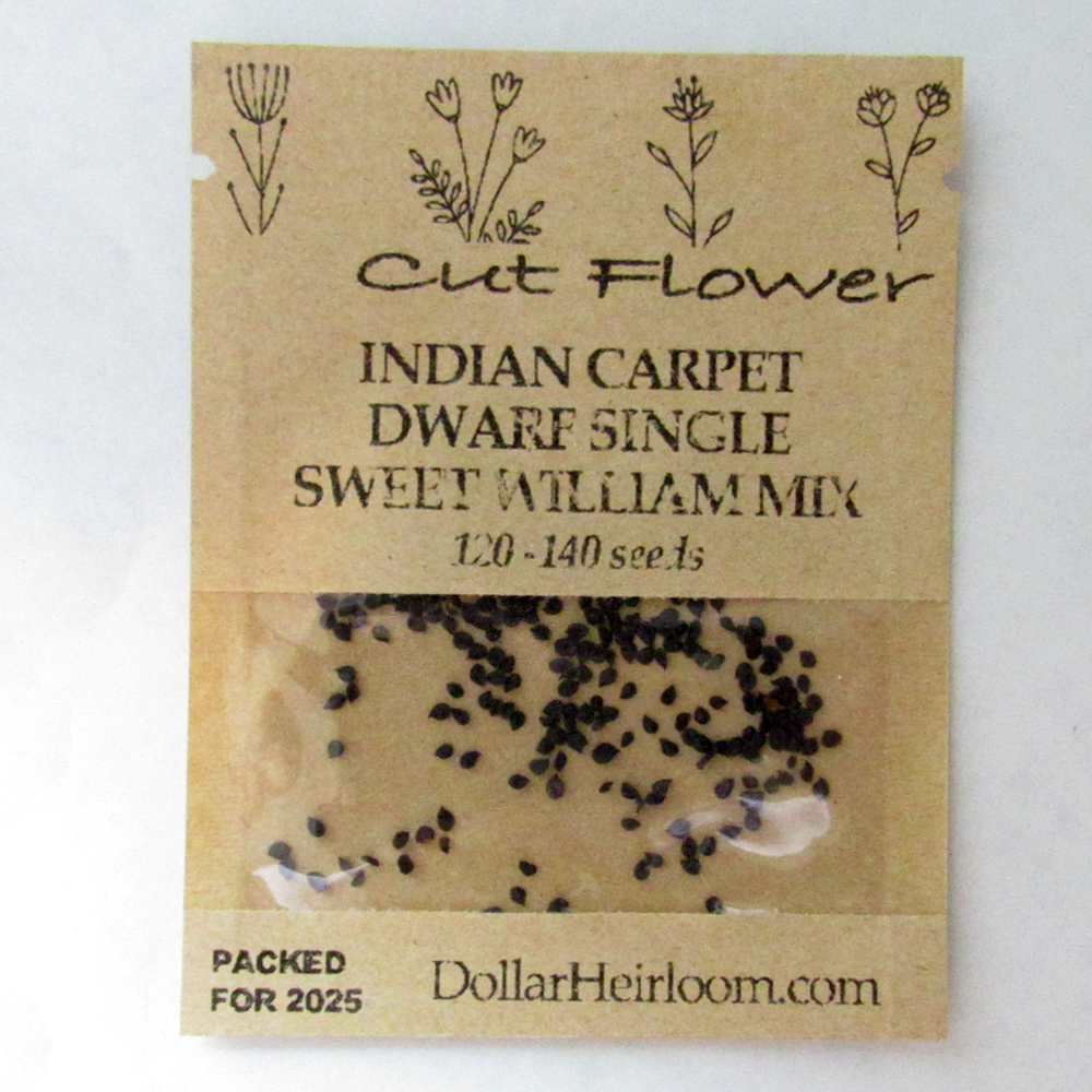 Sweet William – Indian Carpet Dwarf Single Mix (120-140 Seeds)