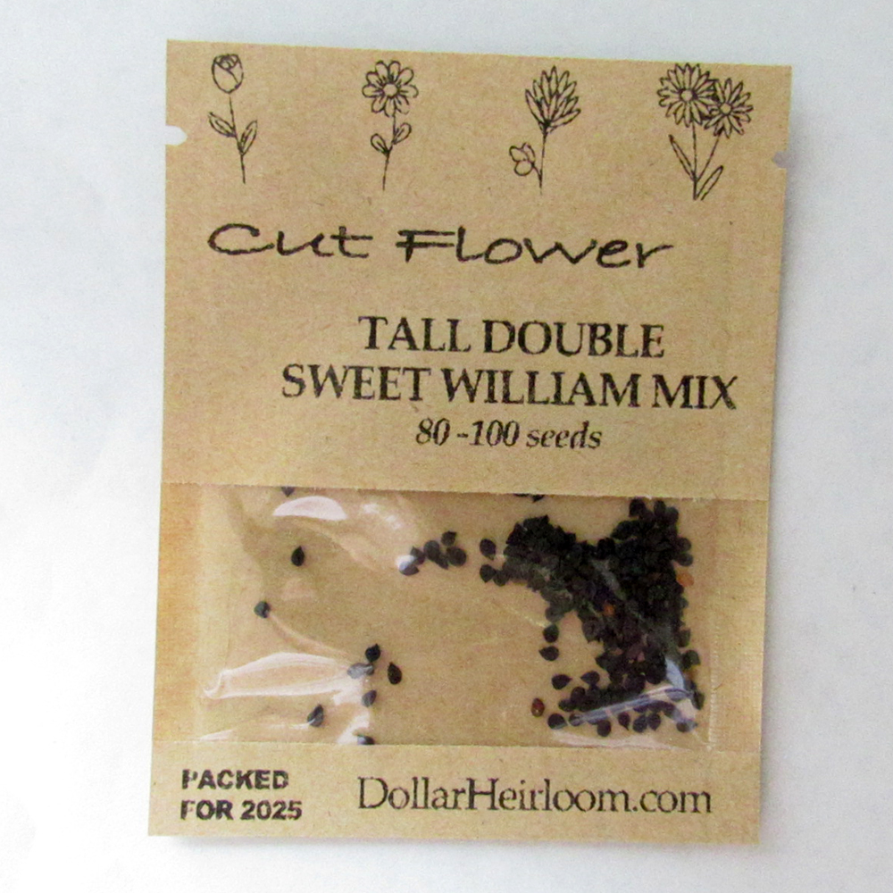 Sweet William – Tall Double Mix (80-100 Seeds)