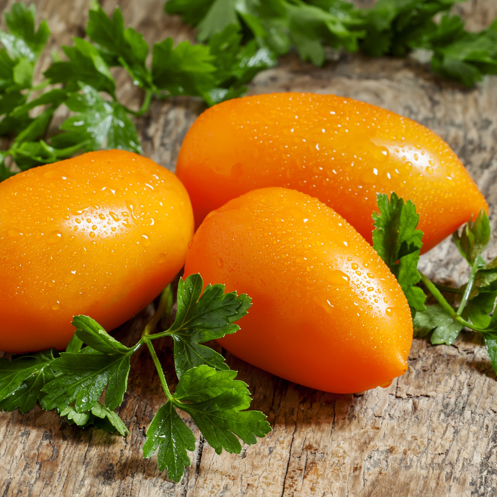 Tomato – Paste – Orange Roma (16-18 Seeds)