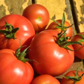 Tomato – Slicing – Marglobe (16-18 Seeds)