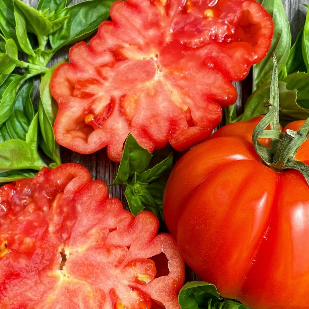 Tomato – Slicing – Watermelon Beefsteak (16-18 Seeds)