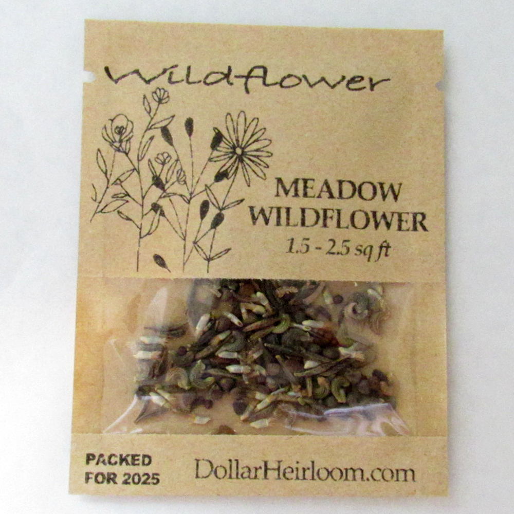 Wildflower - Meadow