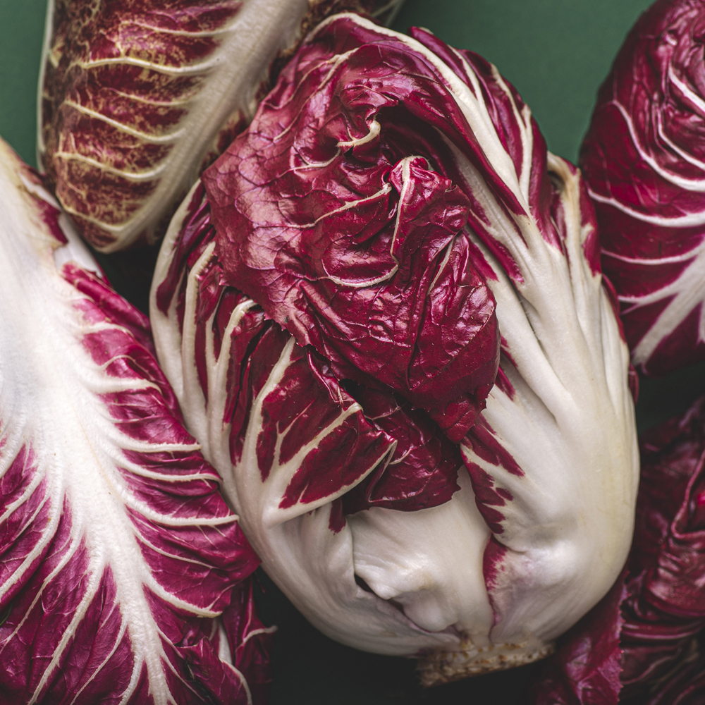 Radicchio – Palla Rosa (60-80 Seeds)