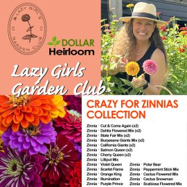 Lazy Girls Garden Club – Crazy for Zinnias Collection