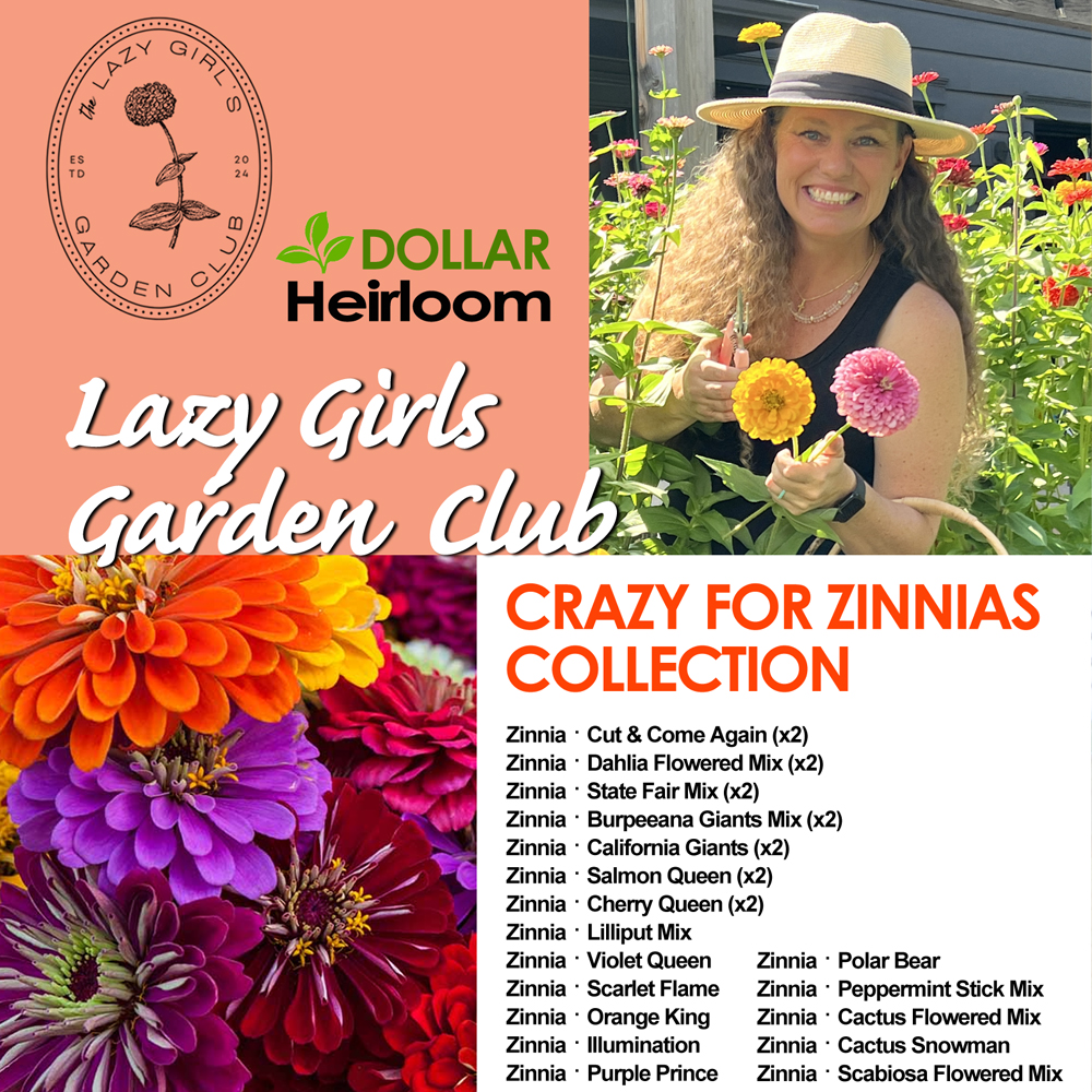 Lazy Girls Garden Club – Crazy for Zinnias Collection