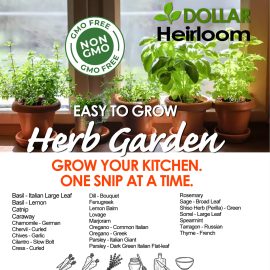 Easy to Grow Herb Garden