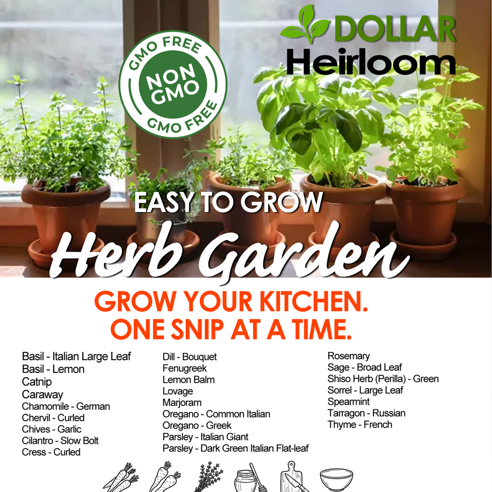 Easy to Grow Herb Garden