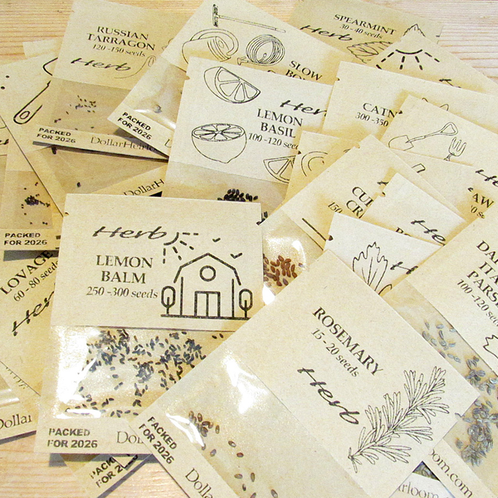 Easy to Grow Herb Garden