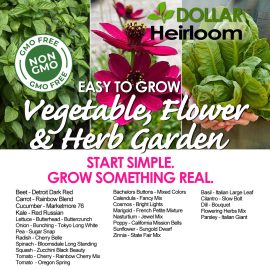 Easy to Grow Vegetables, Flowers and Herb Garden