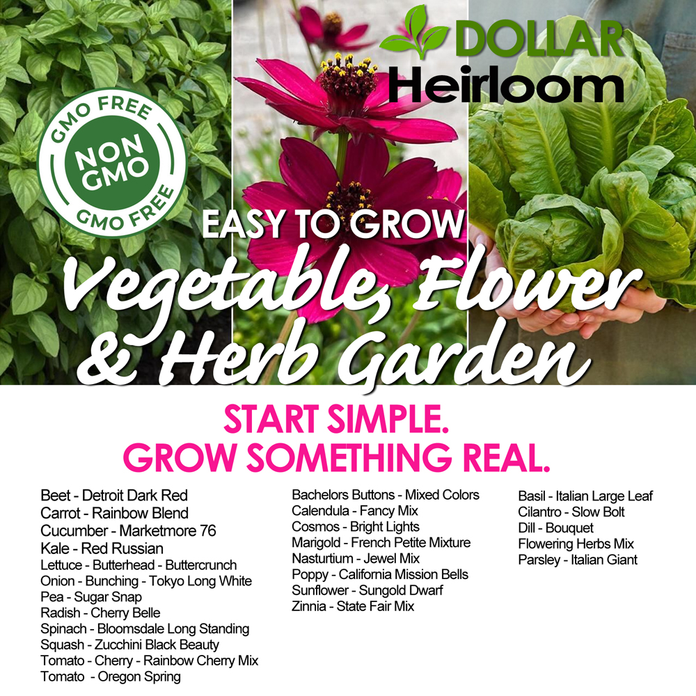 Easy to Grow Vegetables, Flowers and Herb Garden