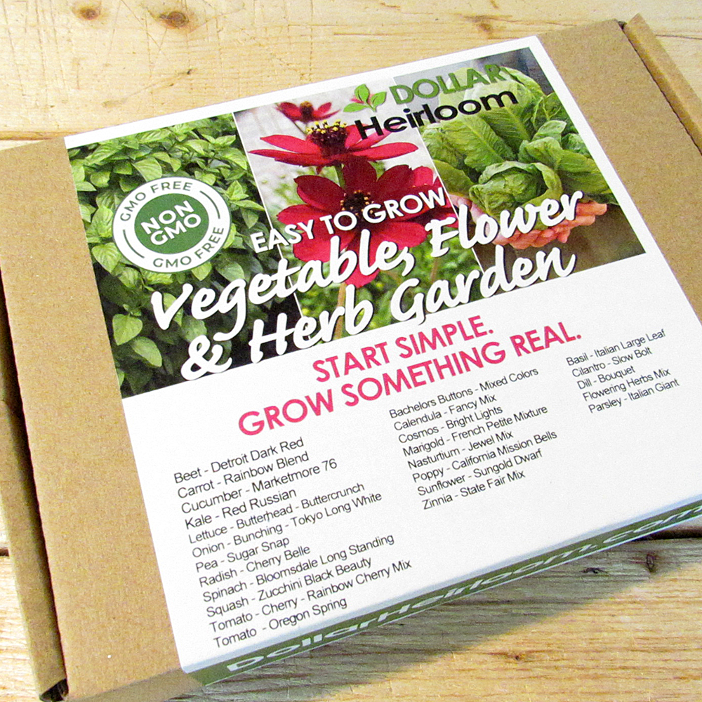Easy to Grow Vegetables, Flowers and Herb Garden